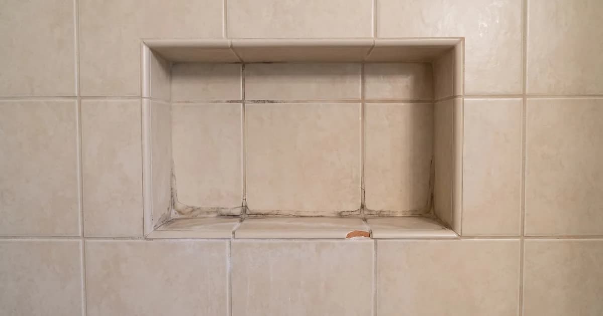 A tiled shower niche with cracked, darkened grout along the shelf and a chipped tile edge.
